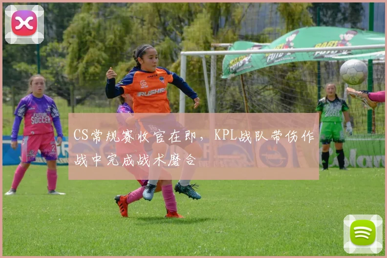 CS常规赛收官在即，KPL战队带伤作战中完成战术磨合 - 球天下体育推荐